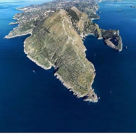 Green Apartment In Sorrento Coast Маса Лубрензе Екстериор снимка